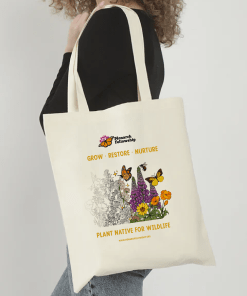 Basic Cotton Tote Natural Color