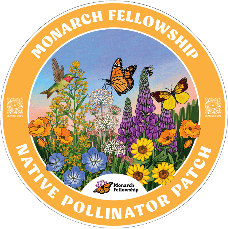 Educational pollinator patch