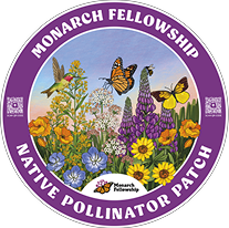 Pollinator Patch Guide – Monarch Fellowship Hub Store